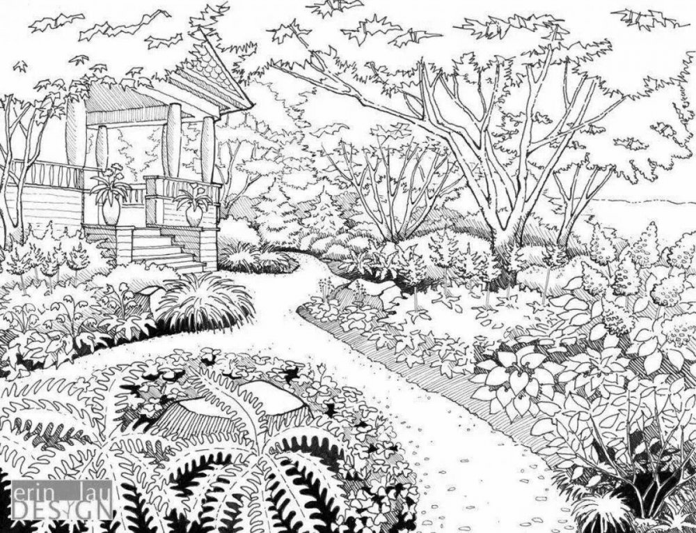 Японский сад карандашом