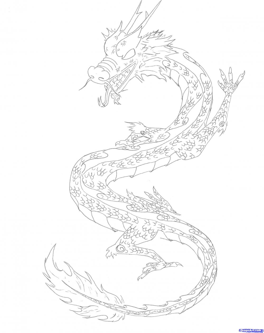 Раскраска китайский дракон реалистичные