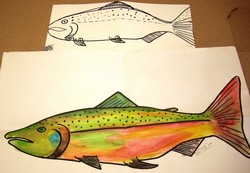Рисунок рыбы кета кеты
