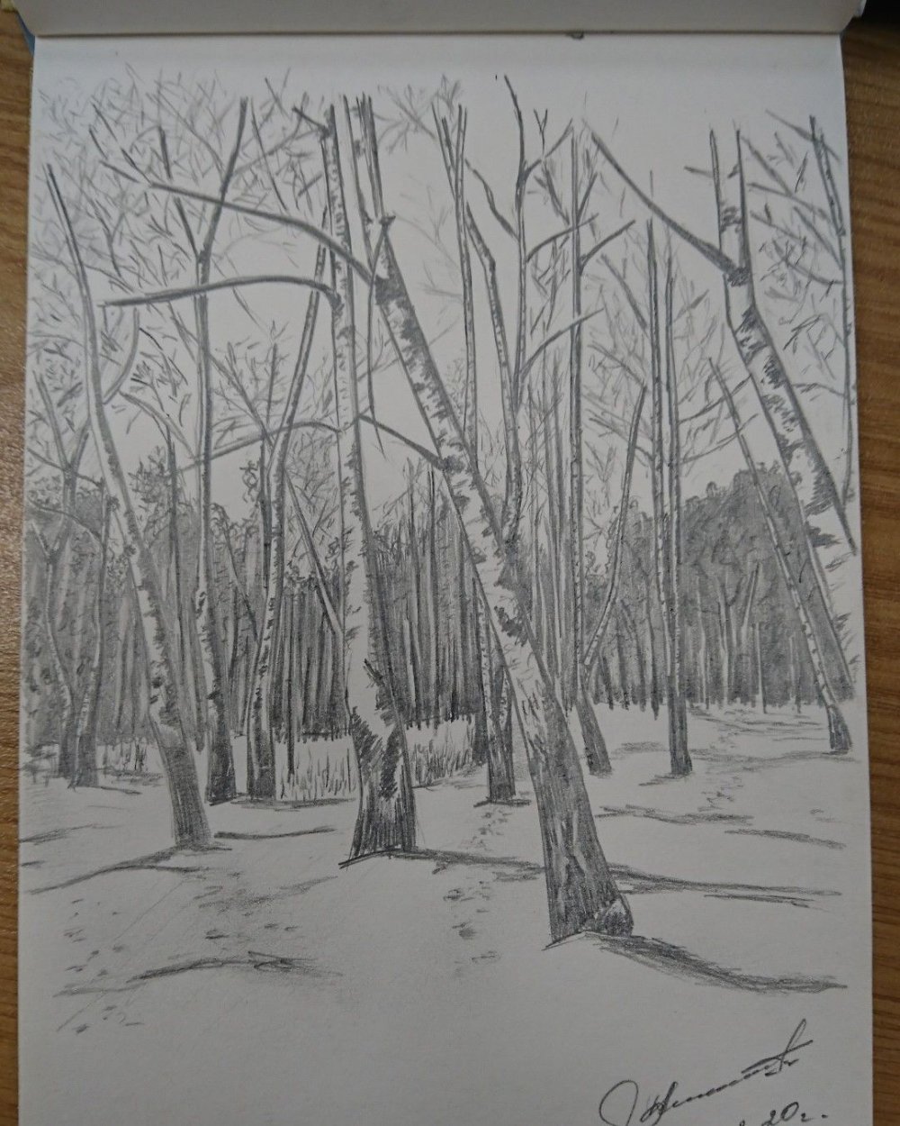 Зимний лес карандашом