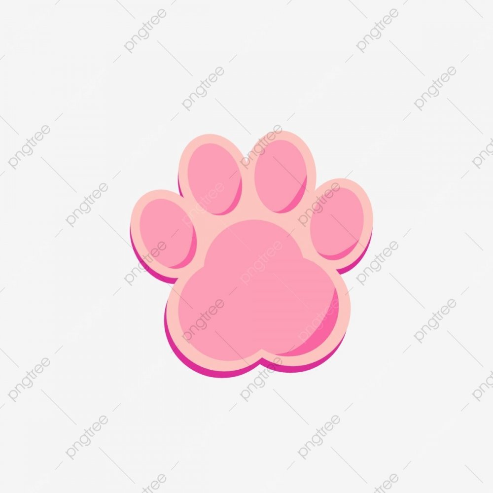 Розовая лапка котика