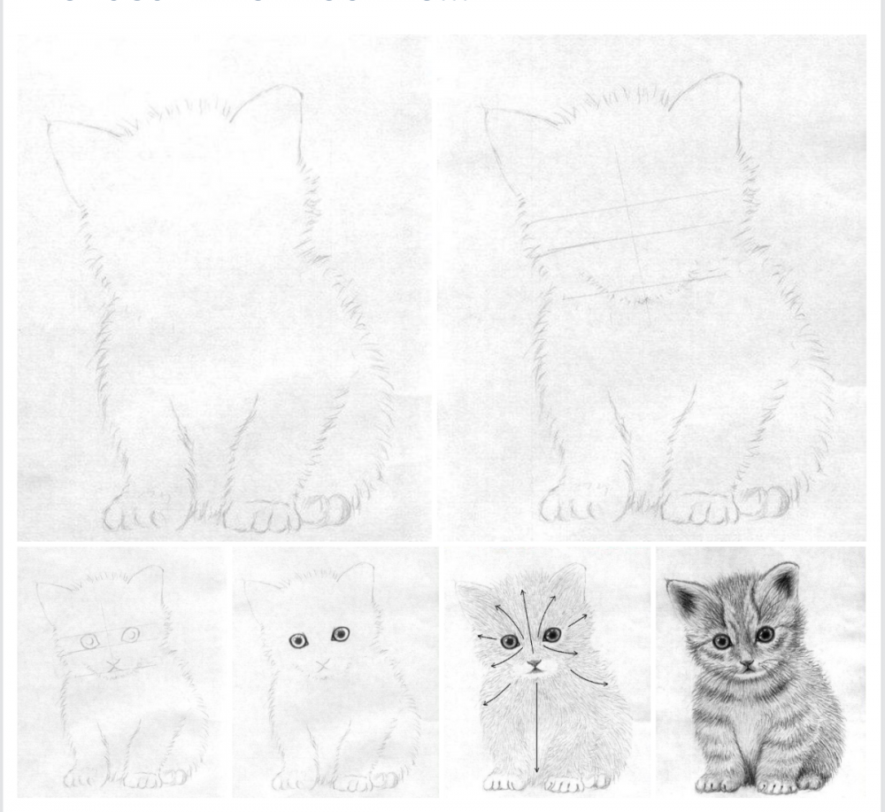 Котёнок рисунок карандашомлегко