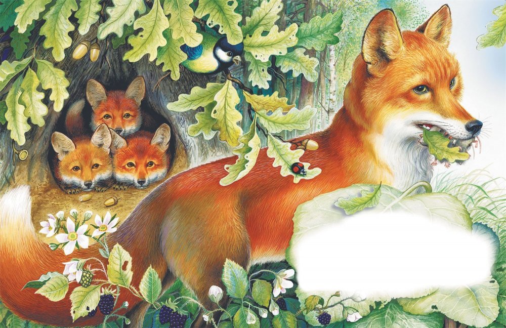 Картина лиса с лисятами Автор п с Меньшикова