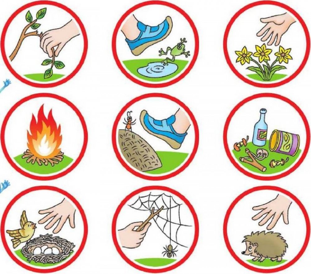 Экологические знаки по охране природы