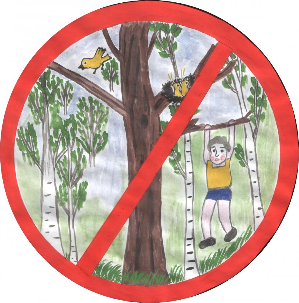 Запрещающие знаки в лесу