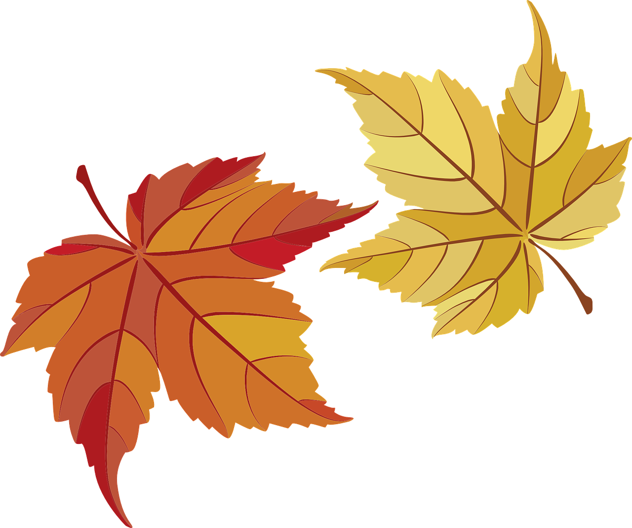 Осенний лист рисунок. Осенние листья. Осенние листочки. Рисунки осенних листьев. Осенние листья картинки.