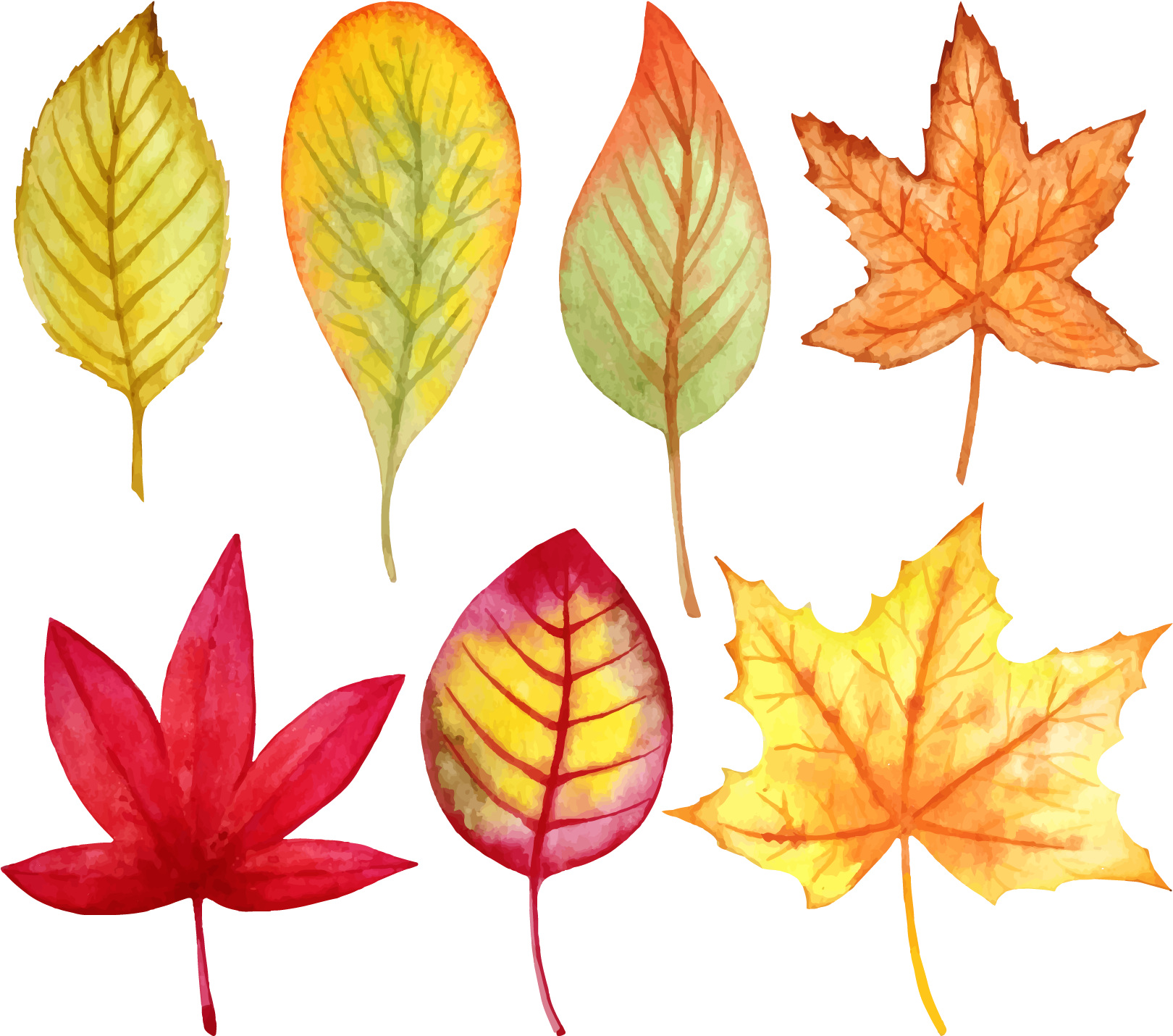 Осенний лист рисунок. Осенние листья акварель. Цветной лист. Рисование осенних листьев. Осенние илистьяакварелью.