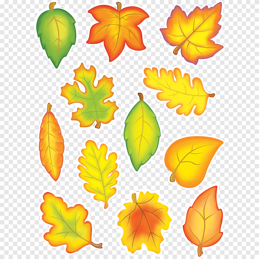 Разноцветные листочки осенние