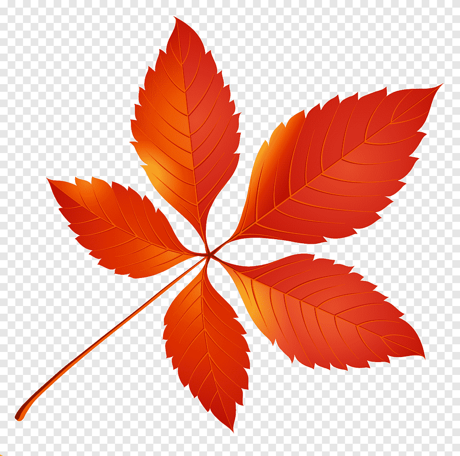 Картинки осенних листьев
