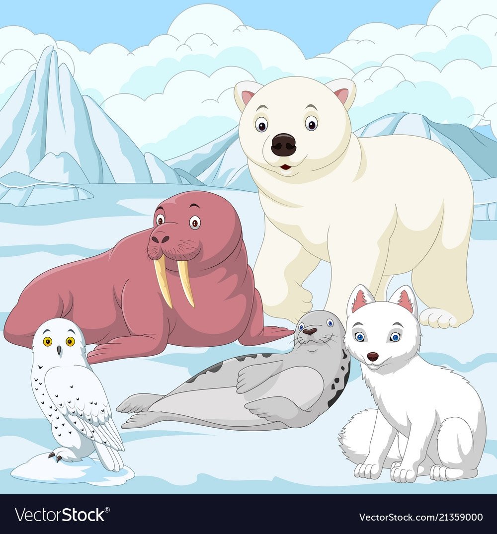 Арктика картинки для детей