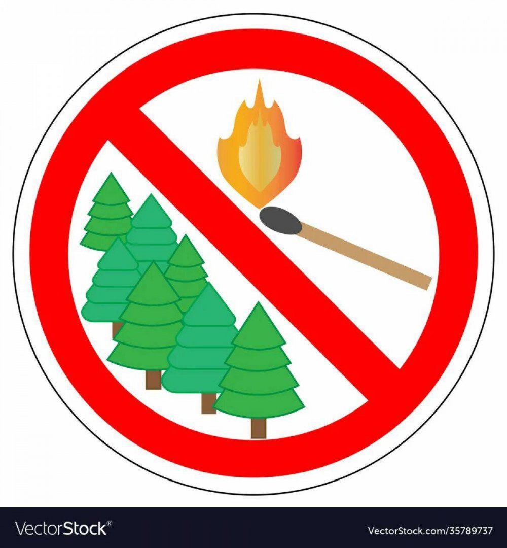 Предупреждающие знаки в лесу
