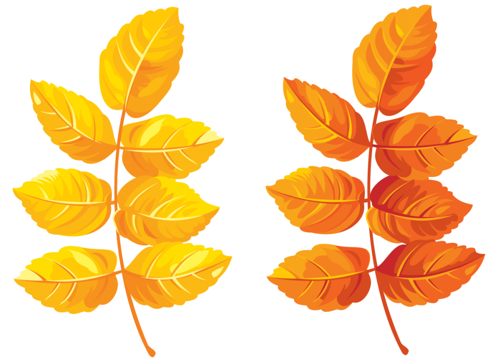 Листья осенью для дошкольников