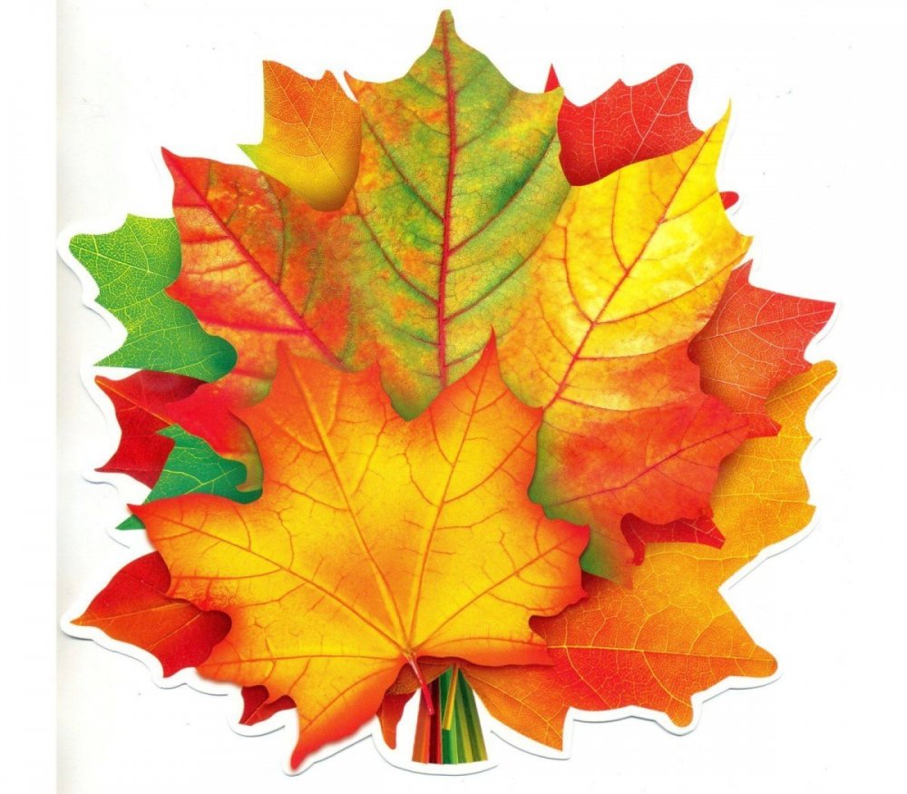 Осенние листья для украшения