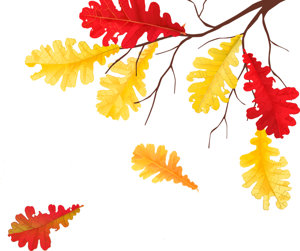 Осенние листья картинки для детей
