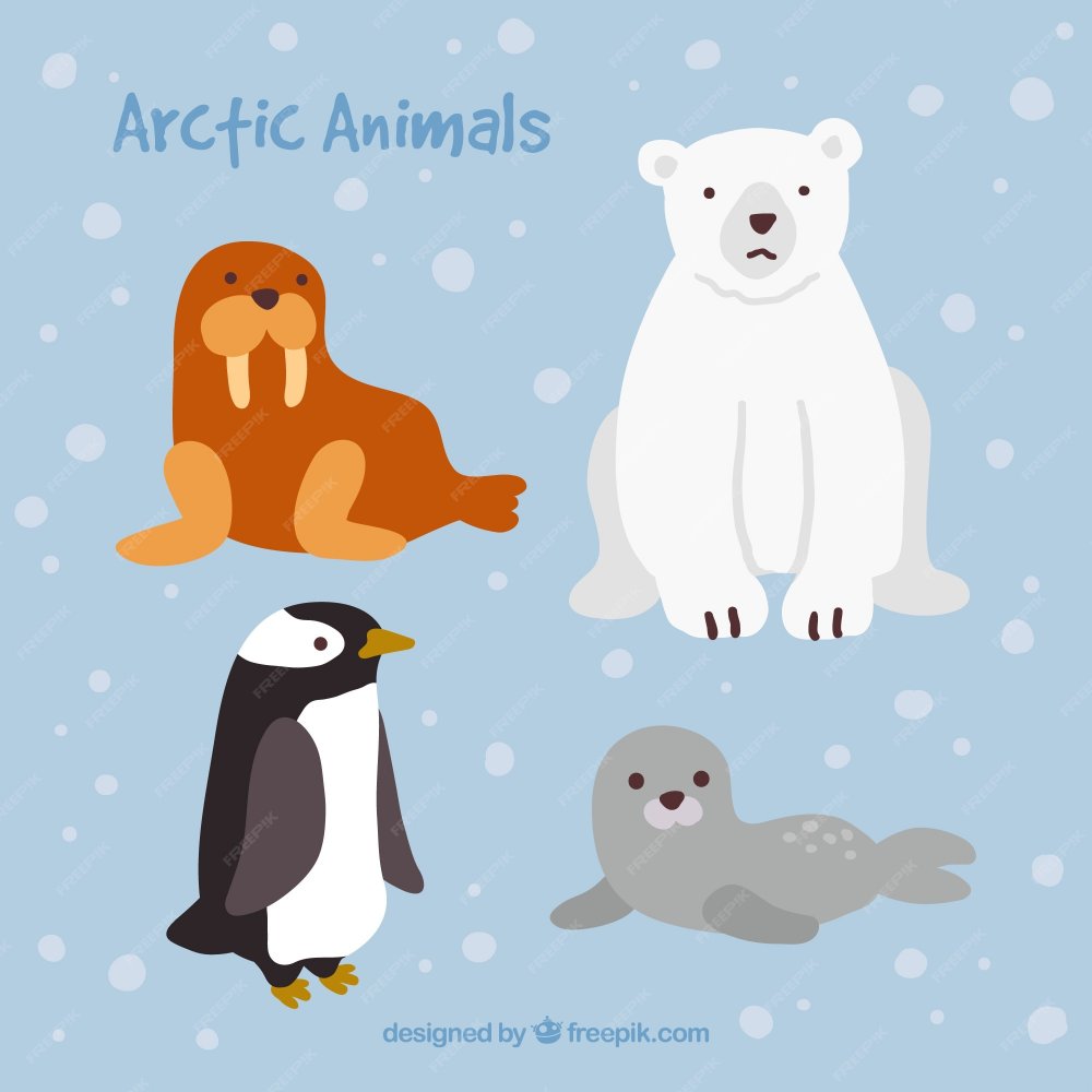 Рисование животные Арктики