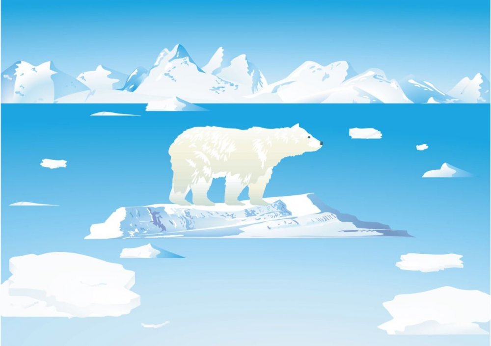Арктика Векторная Графика
