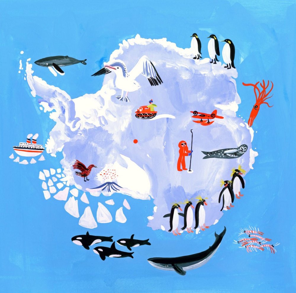 Антарктида плакат