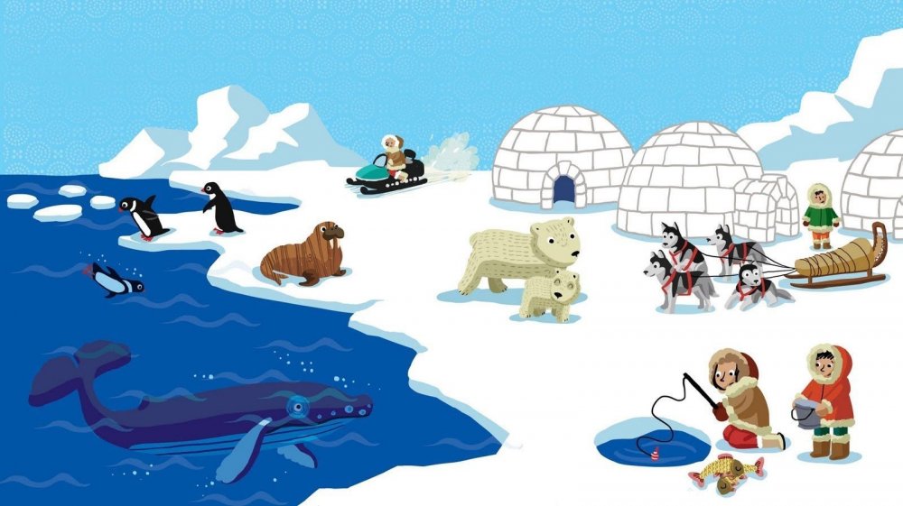 Арктика для детей