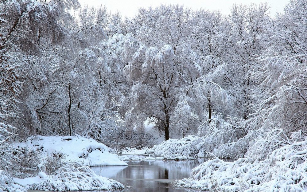 Зимний пейзаж деревья в снегу