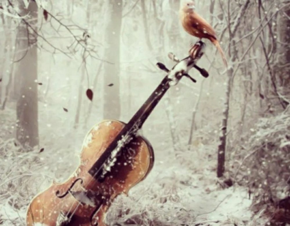 Картинки зимы под мелодию Антонио Вивальди зима