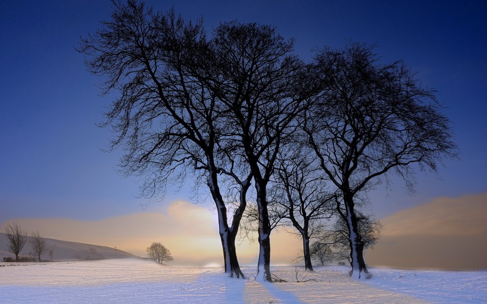 Зимний пейзаж деревья