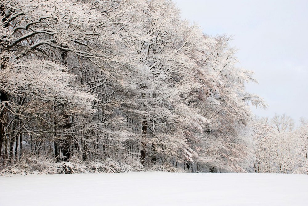Картины к произведению Вивальди зима
