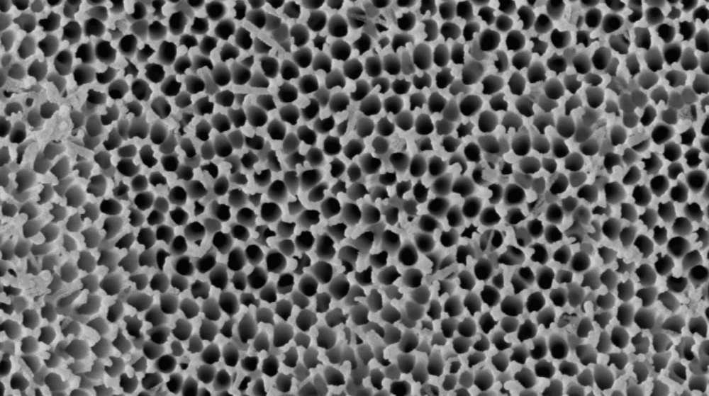Титан Криос микроскоп