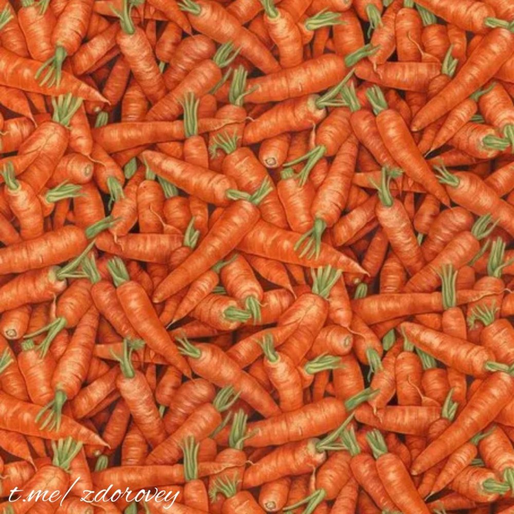 Текстура морковь