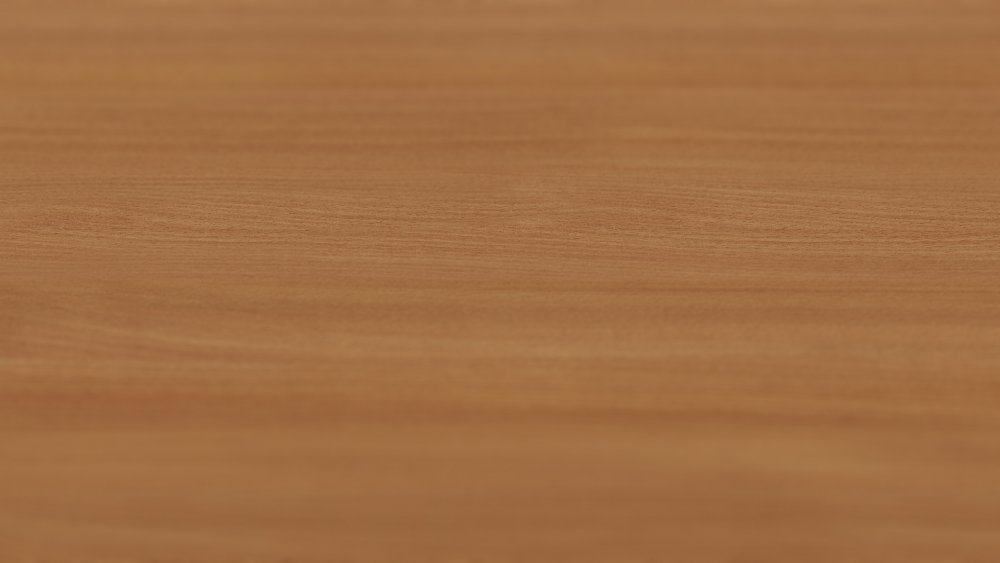 Бук текстура древесины