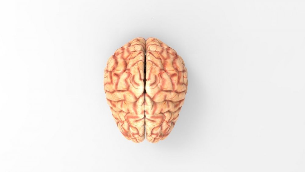 Человеческий мозг текстура