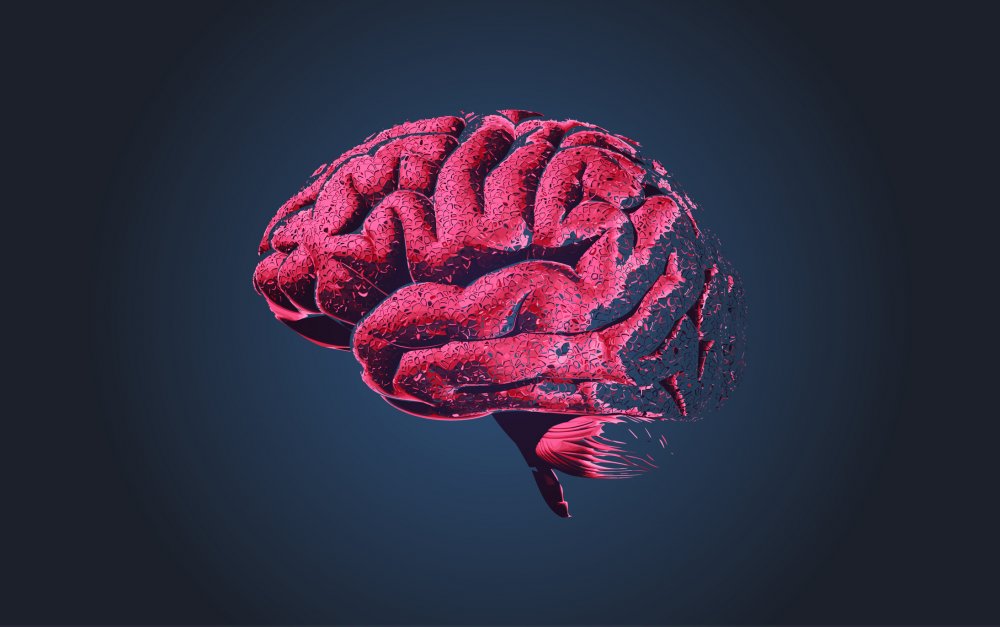 Мозг человека на темном фоне