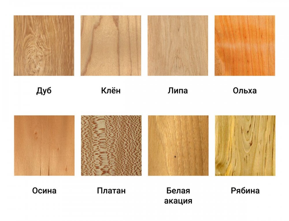Ольха структура древесины