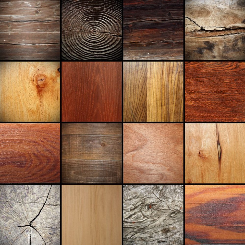 Текстура древесины разных пород