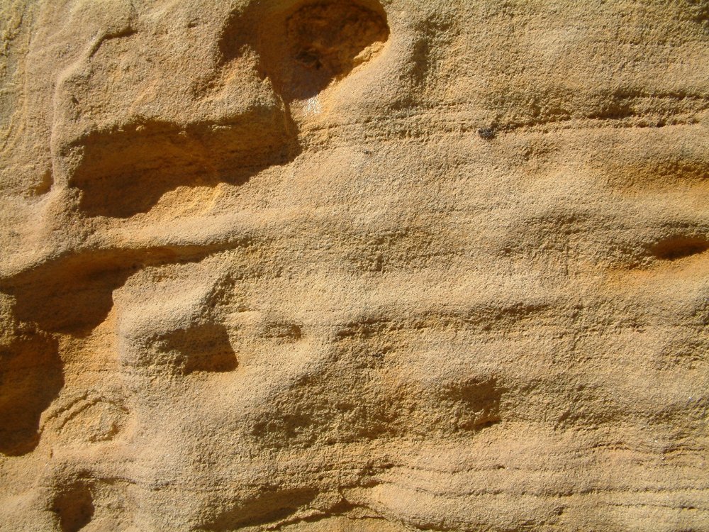 Текстура песчаника геология