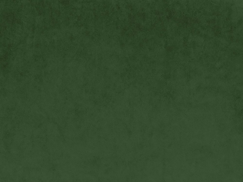 Темно зеленый бархат