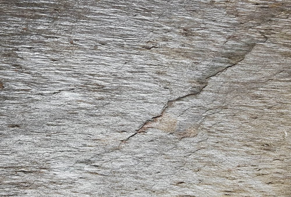 Каменный шпон Lacerta
