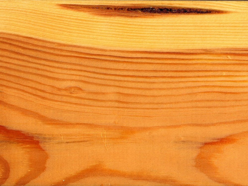 Сосна лиственница и кедр древесины