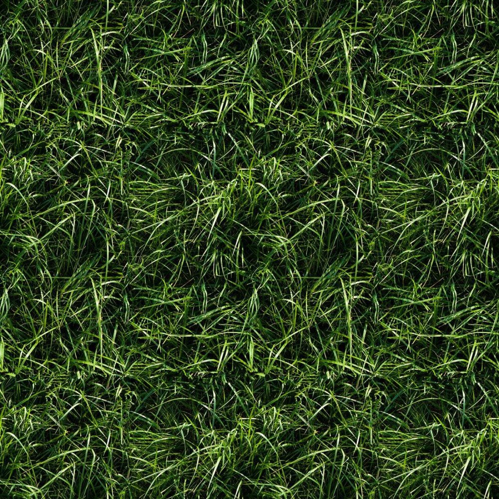 Текстура травы для 3d Max
