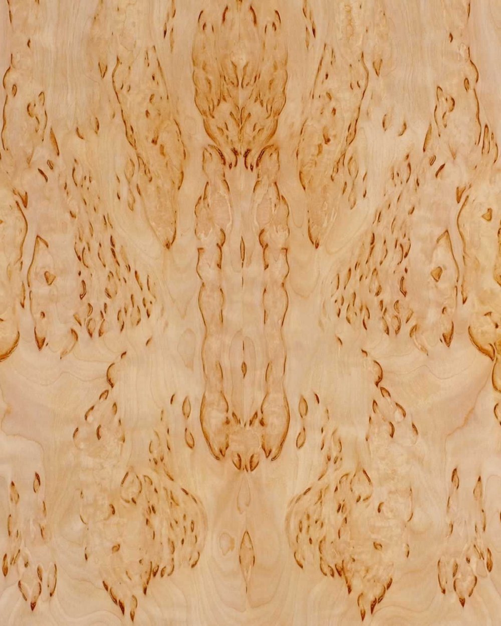 Карельская береза текстура древесины