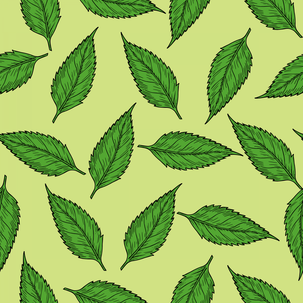 Текстура листвы