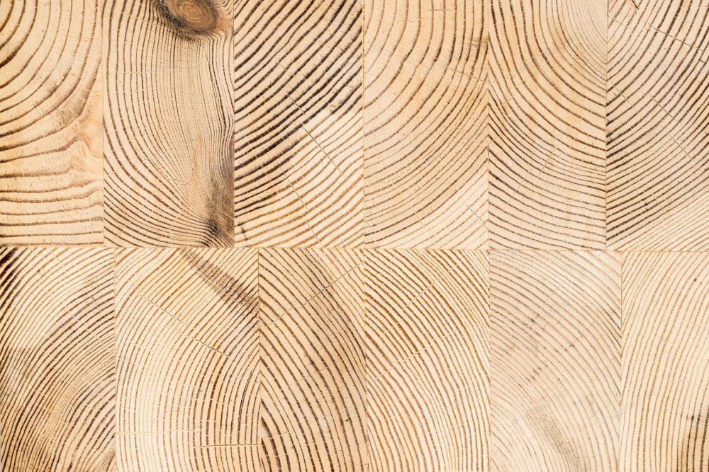Торец дерева текстура