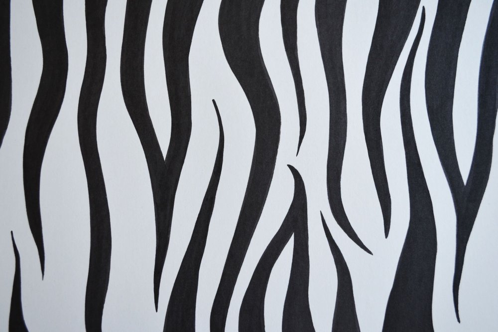Zebra2 Сканди