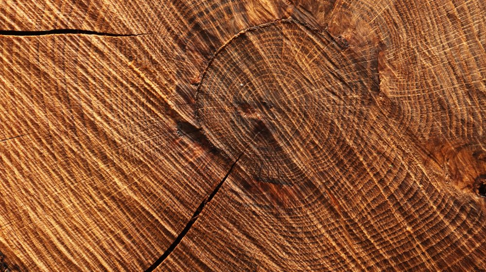 Ясень текстура древесины