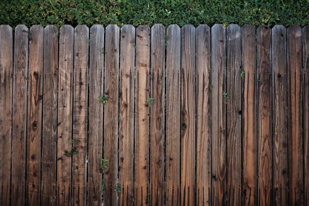 Забор из деревянных досок