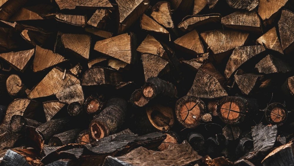 Текстура дерева дрова