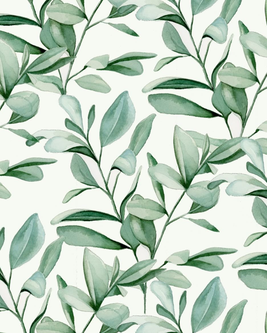Leaf Eucalyptus Aquarell