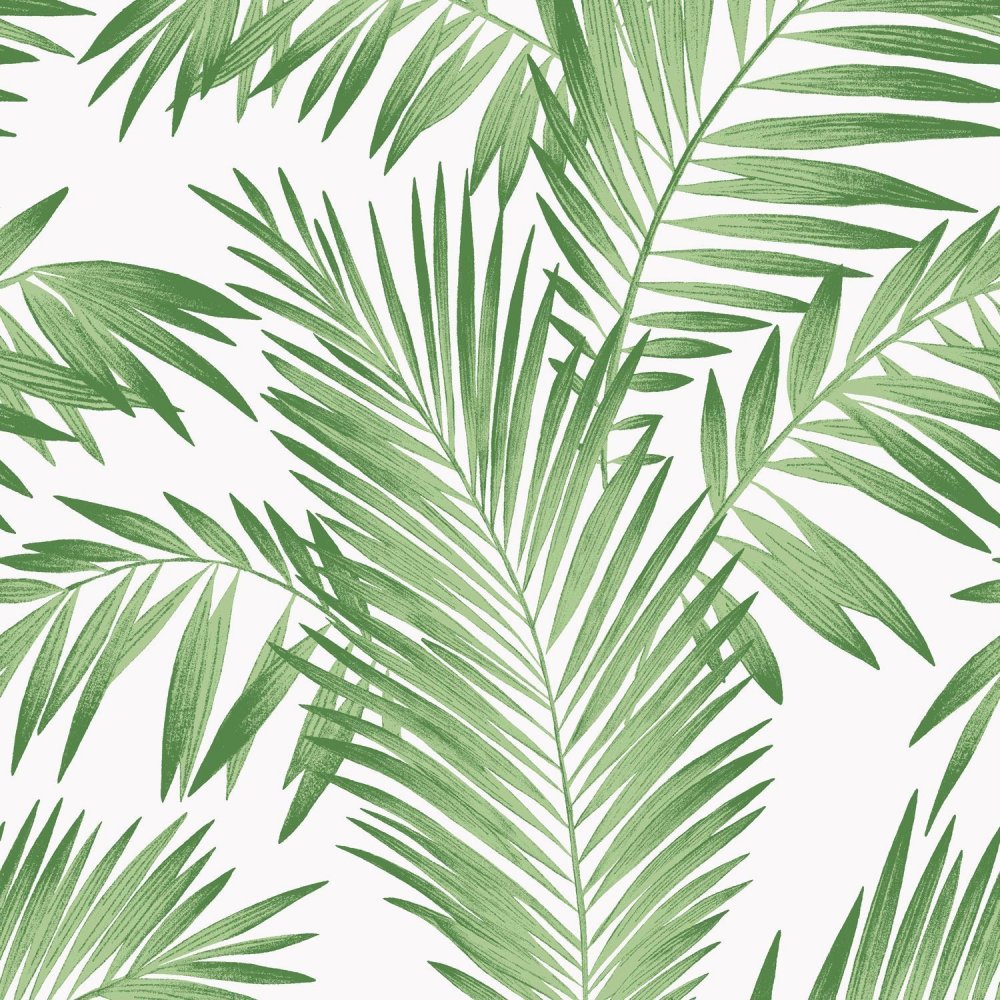 Принт пальмовые листья