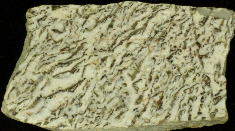 Precambrian Shield