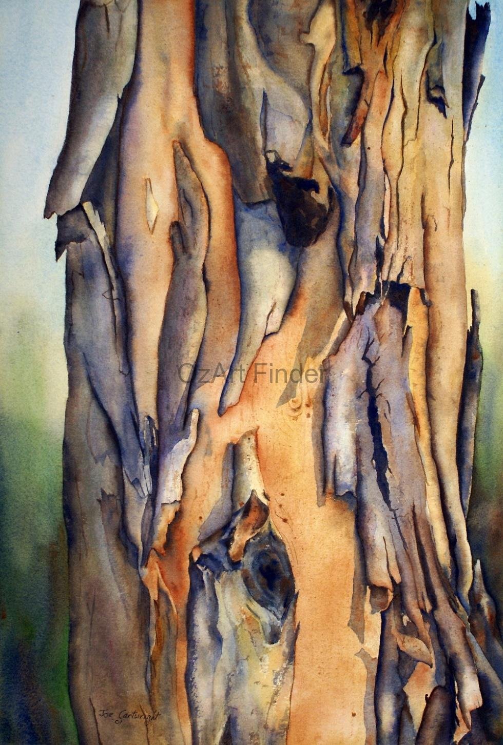 Кора дерева рисунок