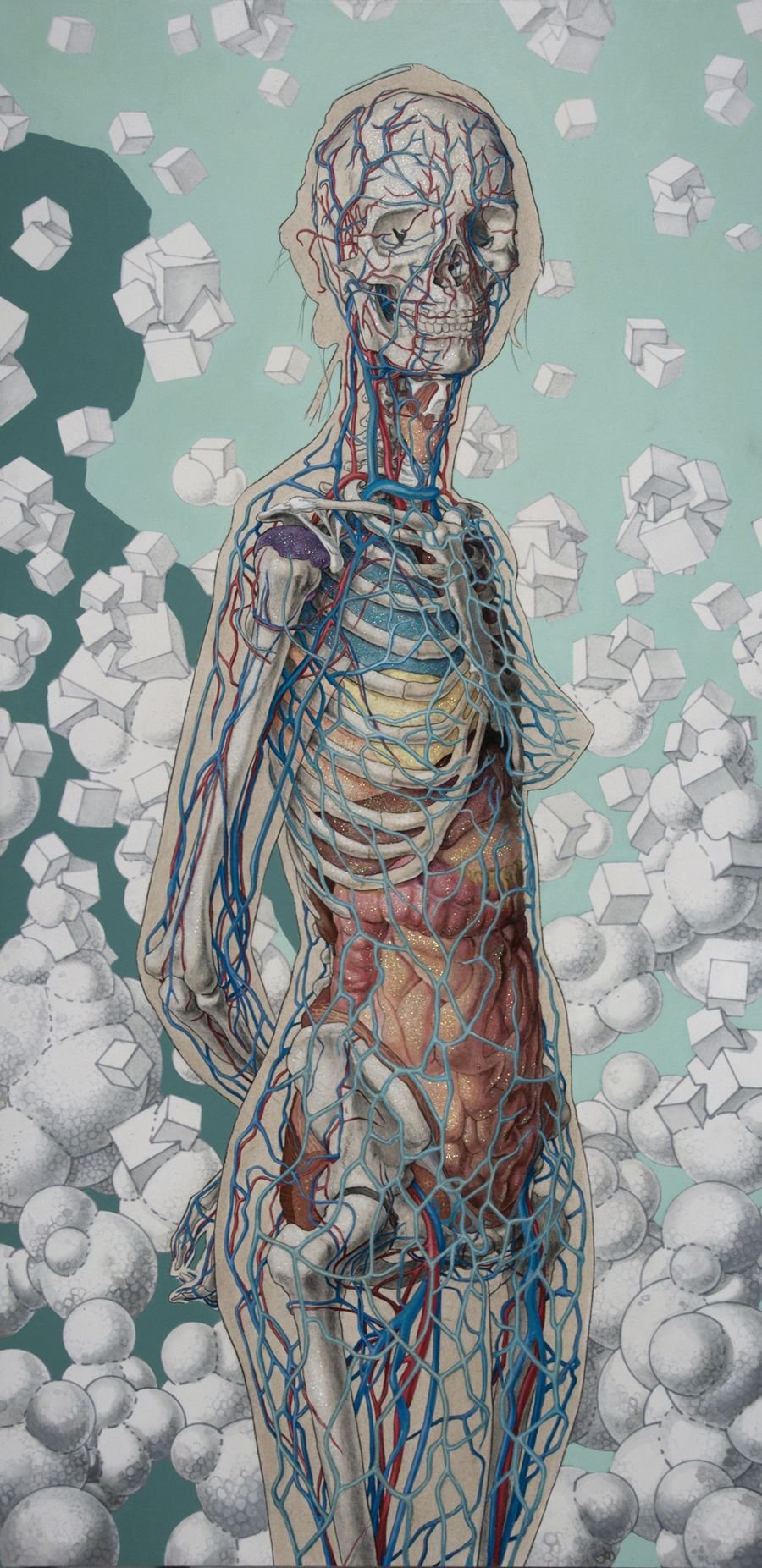 Анатомия человека иллюстрация